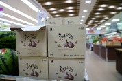 신품종 국내산 홍성군 ‘홍산마늘’, 국내 마늘시장에 ‘도전장’