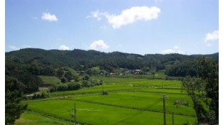 홍성군, 친환경농업 메카로 부상…전국 최초 '유기농업 특구'